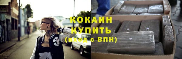 индика Алзамай