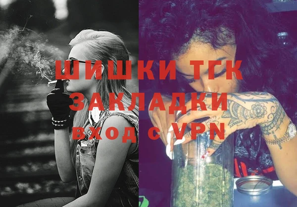 индика Алзамай