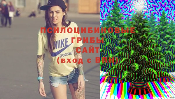a pvp Алексеевка